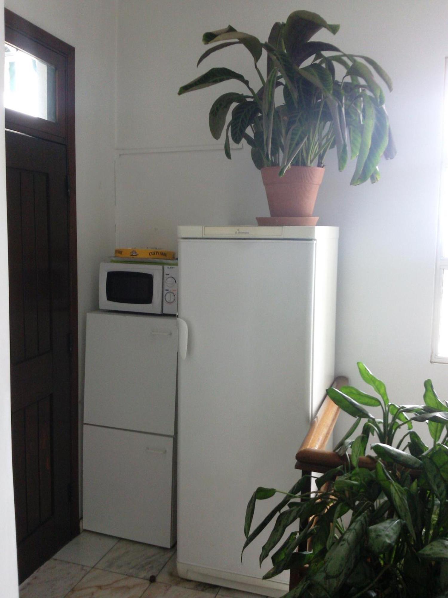 פונשל Pensao Residencial Vila Teresinha מראה חיצוני תמונה