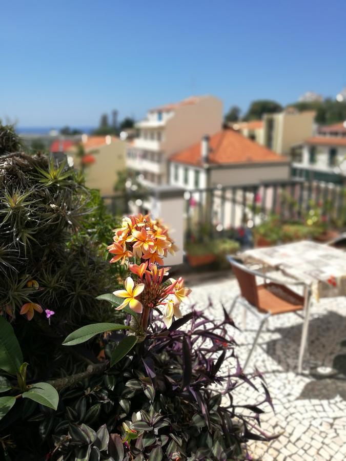 פונשל Pensao Residencial Vila Teresinha מראה חיצוני תמונה